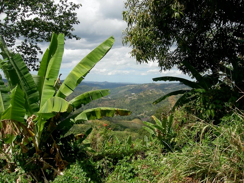 Photo of Up top in Ponce mountains in Puerto Rico