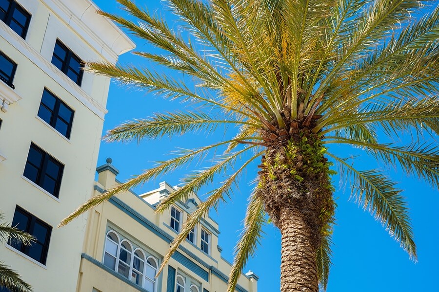 Photo of Clematis Street in West Palm Beach - Florida